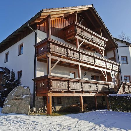 Haus Haidweg - Ferienwohnungen In Haidmuehle Im Dreilaendereck De-Cz-At Exterior photo