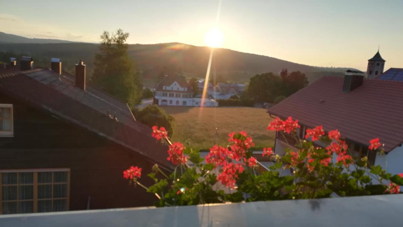 Haus Haidweg - Ferienwohnungen In Haidmuehle Im Dreilaendereck De-Cz-At Exterior photo